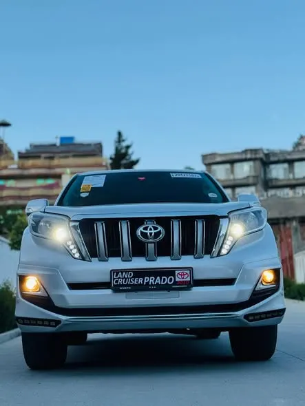 Toyota Land Cruiser 2010