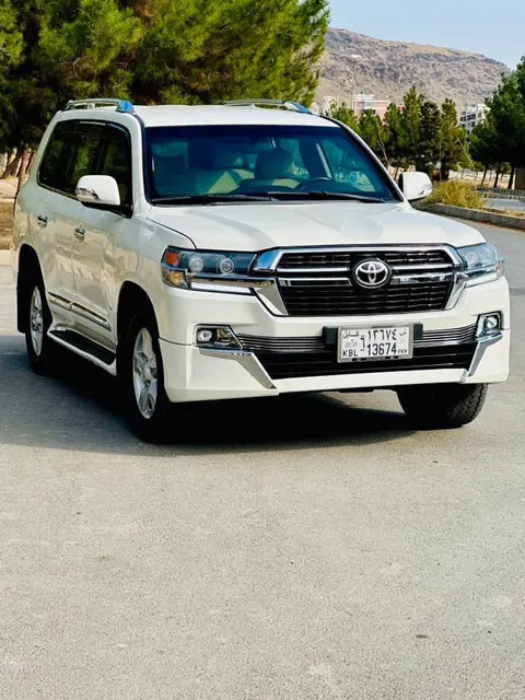 Toyota Land Cruiser 2010
