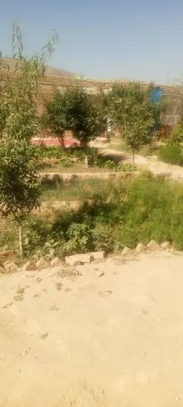 Land with fruit trees for sale, 9 biswa, Deh Sabz, Kabul