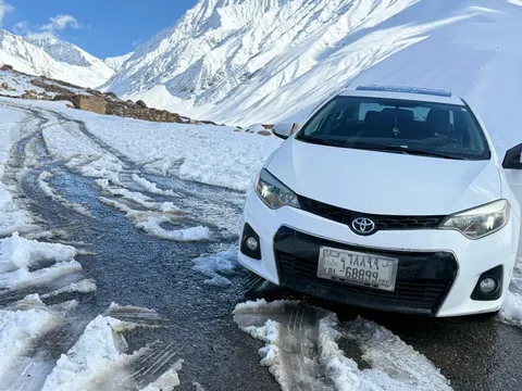 Toyota Corolla S 2015