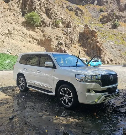 Toyota Land Cruiser 2010