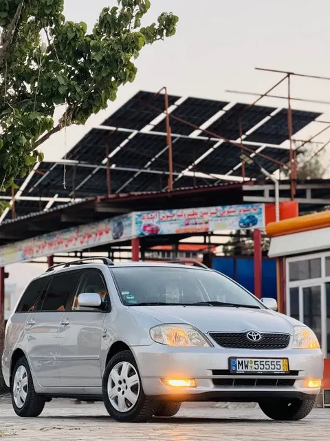 Toyota Fielder 2003, 4-cylinder, automatic