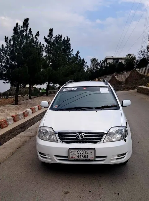 Toyota Fielder 2002, white, automatic