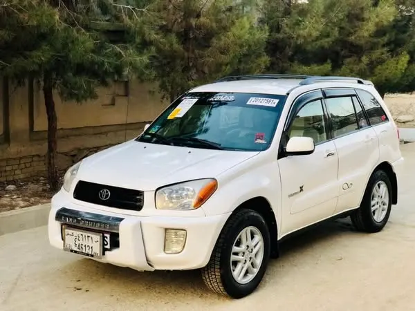Toyota RAV4 Family 2001 (1)