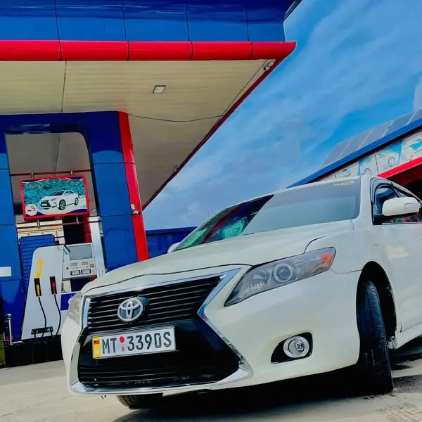 Toyota Camry 2010 (1)