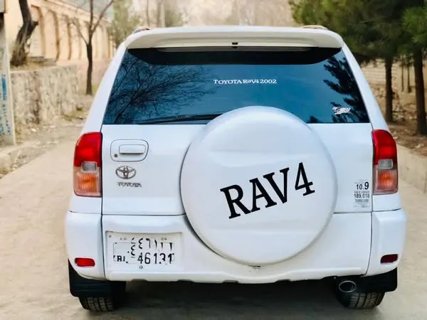 Toyota RAV4 Family 2001 (3)